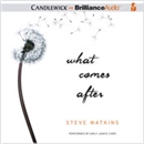 What Comes After by Steve Watkins