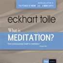 What Is Meditation? by Eckhart Tolle