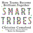 Smart Tribes: How Teams Become Brilliant Together by Christine Comaford