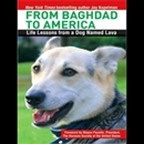 From Baghdad to America by Jay Kopelman