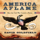 America Aflame: How the Civil War Created a Nation by David Goldfield