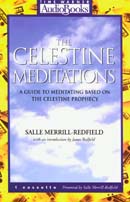 The Celestine Meditations by Salle Merrill-Redfield