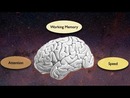 Exploring the Crossroads of Attention and Memory in the Aging Brain by Adam Gazzaley