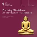 Practicing Mindfulness by Mark W. Muesse