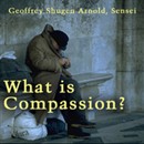 What Is Compassion?: Hui Chao Asks About Buddha by Geoffrey Shugen Arnold