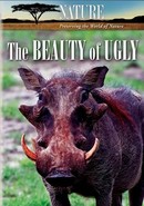 The Beauty of Ugly