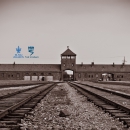 The Holocaust, Part I: Nazi Germany: Ideology, The Jews, and the World by Havi Dreifuss