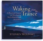 Waking from the Trance by Stephen Wolinsky