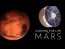 Looking for Life on Mars