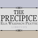 The Precipice by Elia Wilkinson Peattie