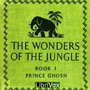 The Wonders of the Jungle by Sarath Kumar Ghosh