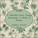 Young Adventure, A Book of Poems by Stephen Vincent Benet