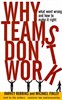 Why Teams Don't Work