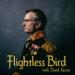 Flightless Bird Podcast