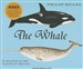 The Whale: In Search of the Giants of the Sea