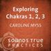 Exploring Chakras 1, 2, and 3