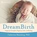 DreamBirth: Imagery for Conception, Pregnancy, Labor, and Bonding