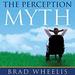 The Perception Myth