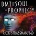 DMT and the Soul of Prophecy