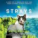 Strays: A Lost Cat, a Homeless Man, and Their Journey Across America