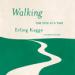 Walking: One Step at a Time