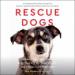 Rescue Dogs