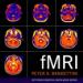 fMRI: MIT Press Essential Knowledge Series