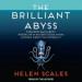 The Brilliant Abyss