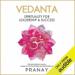 Vedanta: Spirituality for Leadership & Success