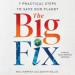 The Big Fix: Seven Practical Steps to Save Our Planet