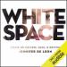 White Space: Essays on Culture, Race, & Writing