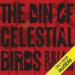 The Din of Celestial Birds