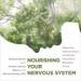 Nourishing Your Nervous System