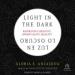 Light in the Dark-Luz en lo Oscuro