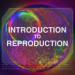 Introduction to Reproduction