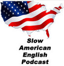 Slow American English Podcast Workbook Vol. 4: Exercise Worksheets and  transcripts for podcast episodes 37 - 48 (Slow American English Podcast  Workbooks): Tolliver, Karren Doll: 9781791951191: : Books