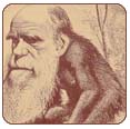 Darwin's Theory of Evolution: Did Man Really Evolve from Apes?